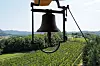 Pogled na okolne vinograde