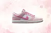 Nike Dunk Low tenisice