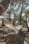 Hammock leželjka u hladovini borove šume
