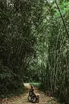 Khao Sok - Tajland