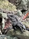 Raznoliki životnjski svijet u Meksiku