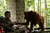 Bukit Lawang - Sumatra - Indonezija