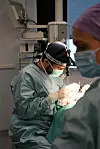 Od samog osnivanja, prirodnost je glavna filozofija poliklinike Lohuis Filipović Medical Group