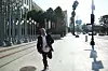 Anti je velika strast skejtanje