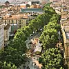 La Rambla je ulica za pješake s prekrasnim drvoredom - inače je u njoj stalno gužva, ali sada zbog pandemije nema tako mnogo ljudi.