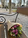 Tulipani kao obećanje sretnije budućnosti