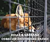 Vijest je s velikim odobravanjem dočekana diljem svijeta.