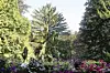 S balkona se pruža pogled na park-šumu Tuškanac