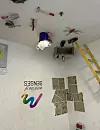 Muzej osjetila u Bukureštu