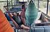 Ivica u napuštenom autobusu koji je trebao ‘čuvati‘ pčele