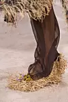 sandale od slame