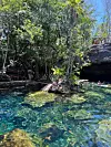 Cenote u blizini Cancuna
