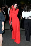 Model Emily Ratajkowski