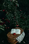 Liana Mikah Nus/ UNSPLASH