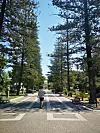 Villa Comunale di Lecce - najljepši park u Lecceu.