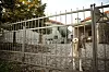 U Poganoj Vlaki Bandić se rodio, odrastao i rado joj se vraćao.