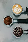 unsplash kava