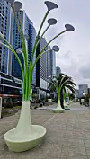 Šetnica u gradu Batumi