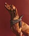 Zara Home božićna pamučna bandana za kućne ljubimce (10,99 eura)