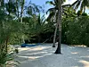 S Tijom Malik kroz Zanzibar - bijeli pijesak, kristalno more, palme i mir