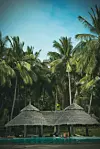 UNSPLASH