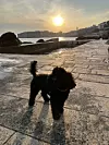 PRIVATNI ALBUM