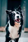 UNSPLASH
