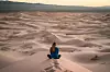 35975503