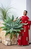 BILJANA BLIVAJS CROPIX