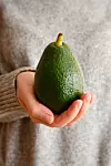 A woman holds green avocado in her hands. Avocado closeup. Natural fresh organic exotic fruit. Healthy eating, raw food diet. Vegetarian lifestyle. Proper nutrition. Ready to eat. Eco product. Poster