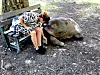 Casela Safari Park prostire se na više od 250 hektara te je dom za više od 1800 životinja