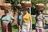 Areta Čurković, Nataša Dorčić, Dora Polić i Sunčana Zelenika u filmu ‘Nosila je rubac črleni‘