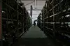Farma Bitcoina