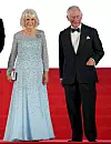 Elegantno izdanje Camille u večernjoj haljini