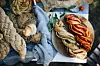 Proljetni stol u Jolandinoj režiji