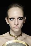 Area make-up