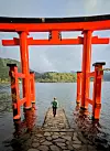 Hakone Torii 'Vrata mira'
