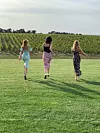 Posebno su ih oduševili vinogradi i njihovo prostranstvo...