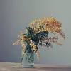 Fotografija: Unsplash