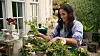 Meghan Markle u seriji ”With Love, Meghan”