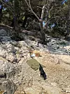 Idealno nedjeljno prijepodne ljeti provodi na plaži