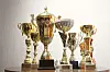 Ena je trofeje počela skupljati sa sedam godina, kad je osvojila Državno prvenstvo Hrvatske u svojoj dobnoj skupini.