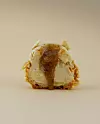 Choux au Cracquelin od lješnjaka