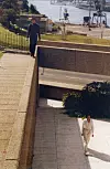 Ivica, izveden na 3. Biennaleu u australskom Sydneyju 1979.