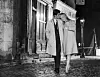 Parc/Madeleine/Kobal/Shutterstock Les Parapluies de Cherbourg /Shutterstock