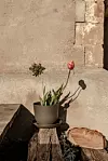 Tas je sam napravio drvenu terasu