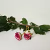 Ola by Lidija Hrelja
