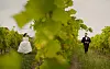 Mladenka u bijeloj haljini i mladoženja u crnom odijelu stoje u vinogradu.