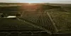 Franković Wine Estate