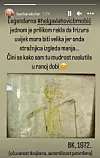 Crtež Barbare Kolar